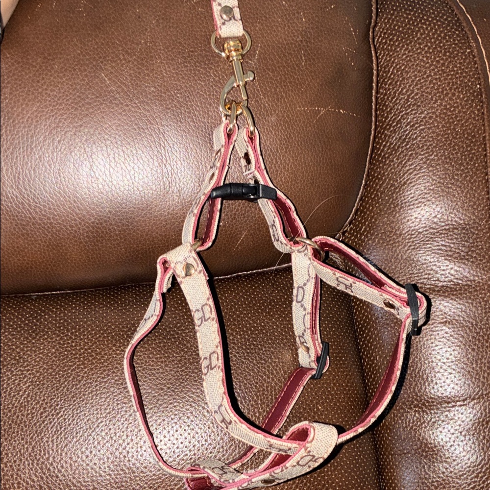 High fashion step in harness leash set